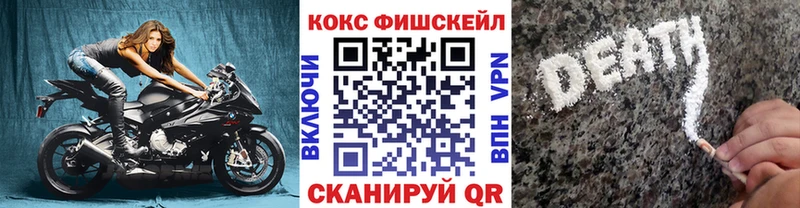 Cocaine FishScale  Дзержинск 