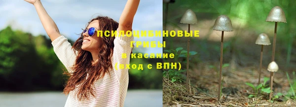 шишки Струнино