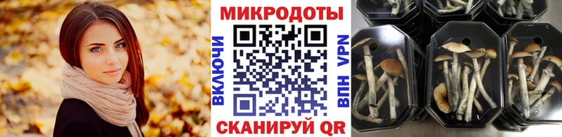 купить наркотик Дзержинск shop телеграм Псилоцибиновые грибы прущие грибы